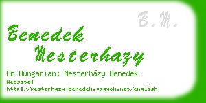 benedek mesterhazy business card