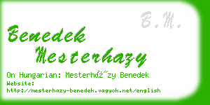 benedek mesterhazy business card